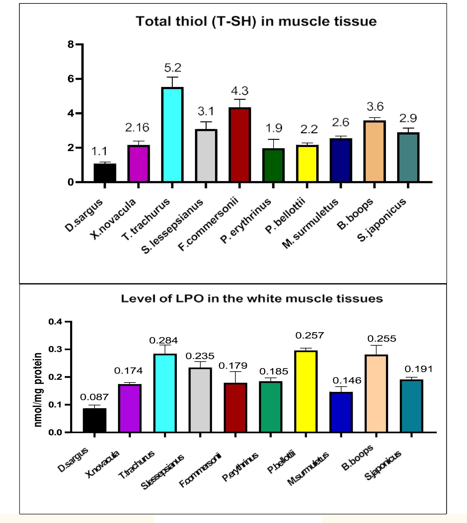 Fig. 3. Total thiol (T-SH) concentration (nmol SH/mg protein wet weight) and lipid peroxidation (LPO) levels (nmol/mg protein wet weight) in the white muscles of the examined species. Each reading represents the mean + standard deviation (SD) of n = 6 fish. Significant differences among means are indicated at P< 0.05 