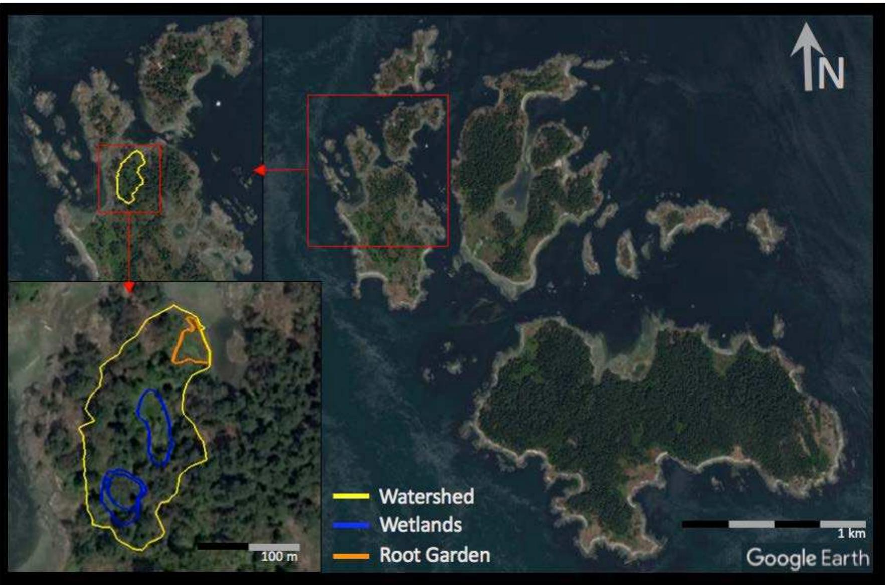 I specifically chose to develop a restoration plan for this wetland site for four reasons: 