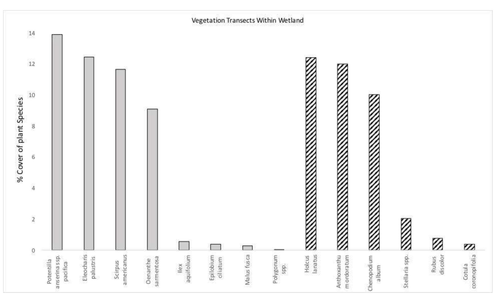 Figure 5. Vegetation transects calculating percent cover of native and invasive plant species within the wetland depression. 