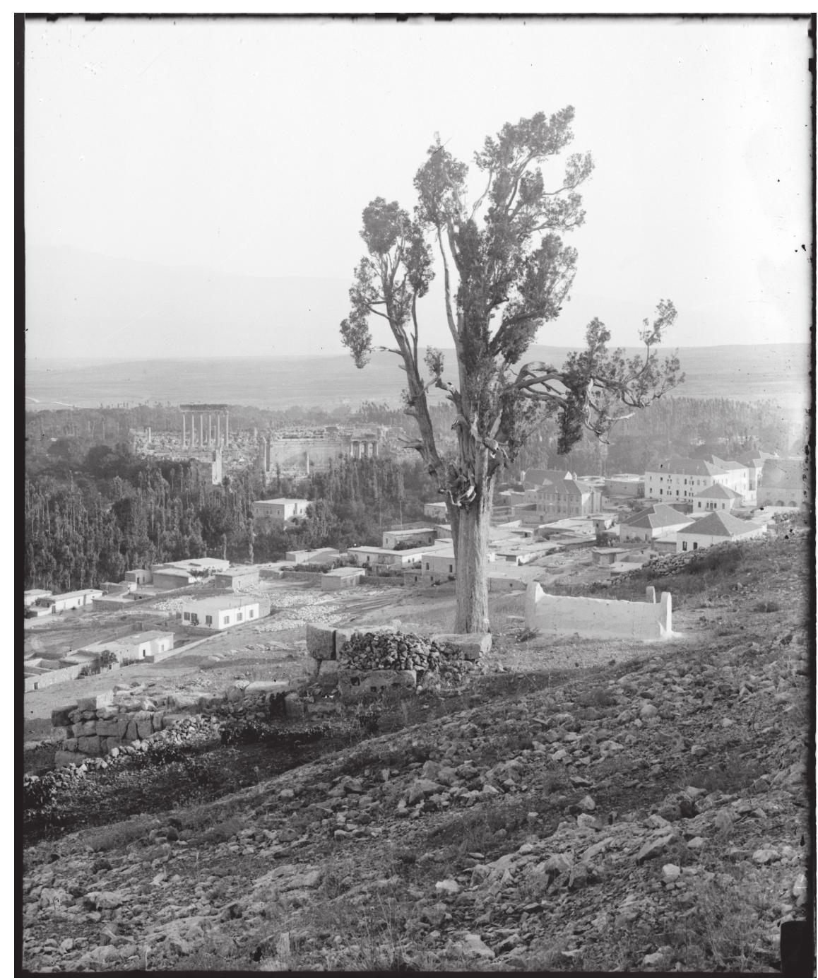 Figure 1.2. Baalbek in 1900. The photograph shows the encroachment of both settlement and nature on the ancient site. Image: American Colony. Photo Department, photographer. Baalbek. General view. Ba‘labakk Lebanon, approximately 1900 to 1920. Photograph: <https://www.loc.gov/ item/2019692656/> [accessed 4 July 2024]. 