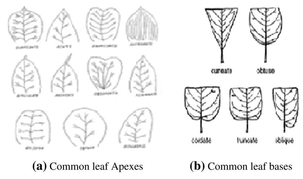 Types of leaf venation kolivand et al. [7] proposed approach
