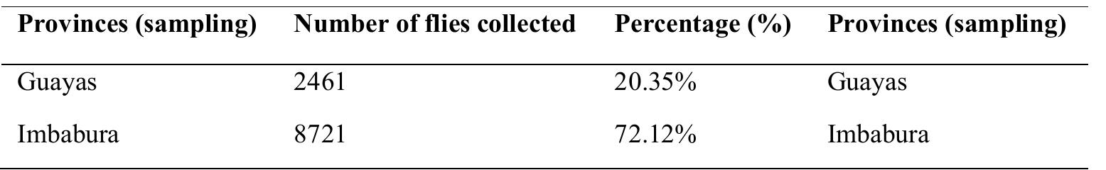 Table 1: Sampling of the presence of Ceratitis capitata in Ecuador. Source: Agrocalidad.  In Table 2, Imbabura shows the highest incidence with 72.12%, followed by Guayas at 20.35% and Santa Elena at 7.53%. These data were collected by Agrocalidad agents in 2020 in mango plants. Meanwhile, the current and future establishment index of Ceratitis Capitata has identified an optimal area (A) in the tropical and subtrop- ical zones of Ecuador with an average temperature of 22 °C. The inter-Andean regions, such as the Ecuadorian highlands, were categorized as an impossible area (D) with temperatures < 9 °C.  Using data from the Ecuadorian Agency for Agricultural Quality Assurance, 926 presence points of MFF in mango orchards were recorded during the year 2020, with detailed UTM coordinates. Most of the records were located in the province of Imbabura, followed by Guayas and Santa Elena, as shown in Table 1. 