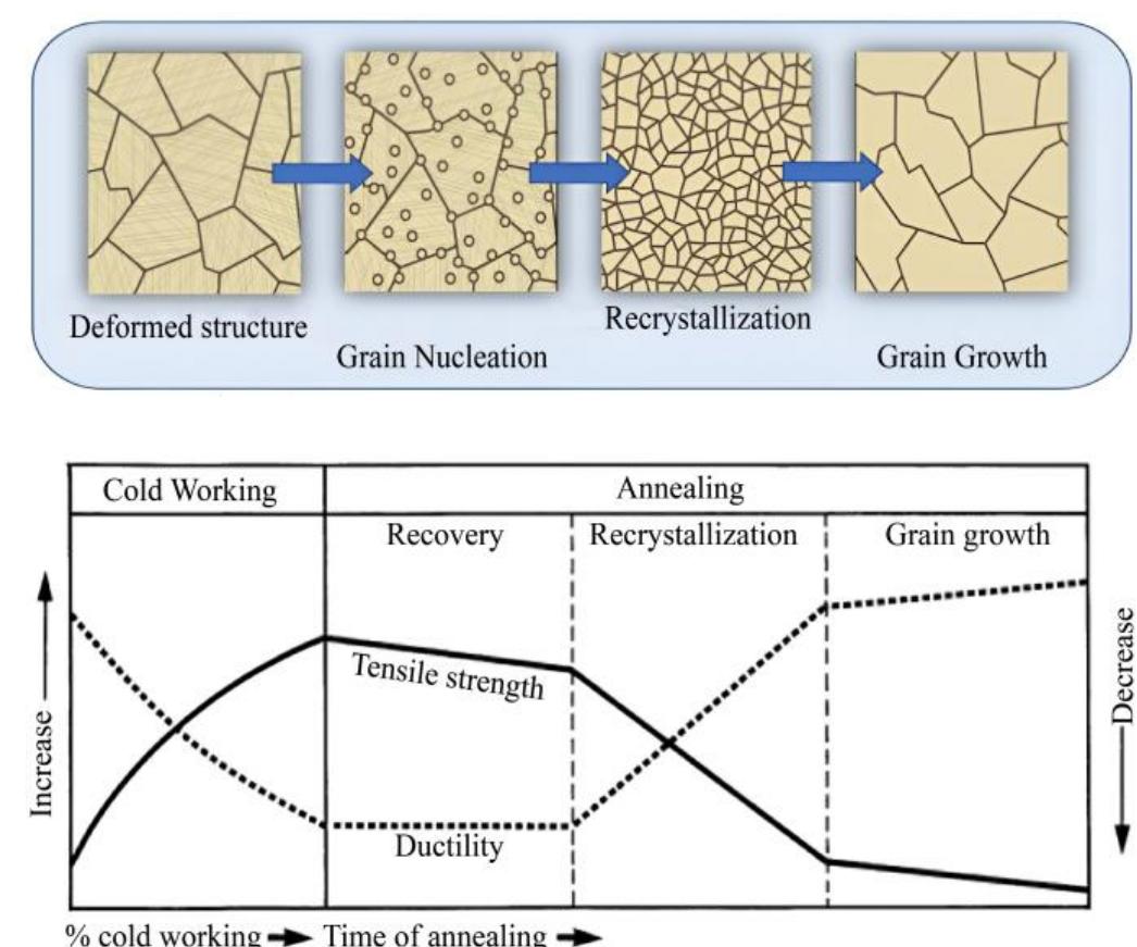 (PDF) Analysis of Microstructure, Recrystallization, and Hardness of ...