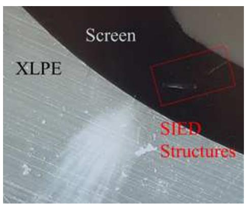 (PDF) Review of Water Treeing in Polymeric Insulated Cables