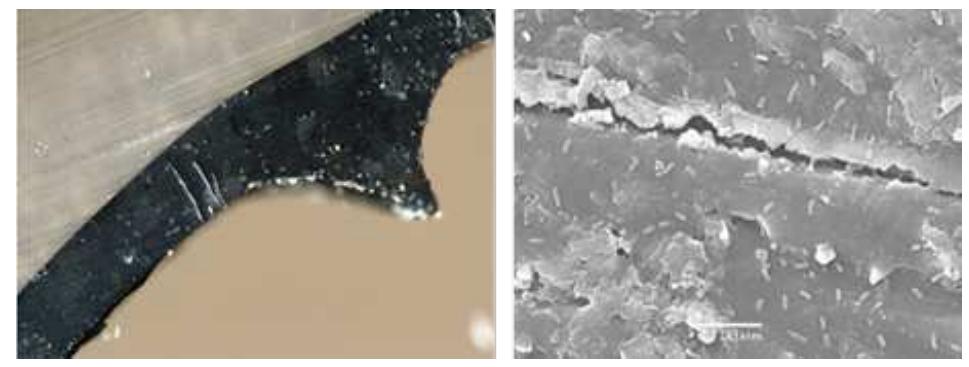 (PDF) Review of Water Treeing in Polymeric Insulated Cables
