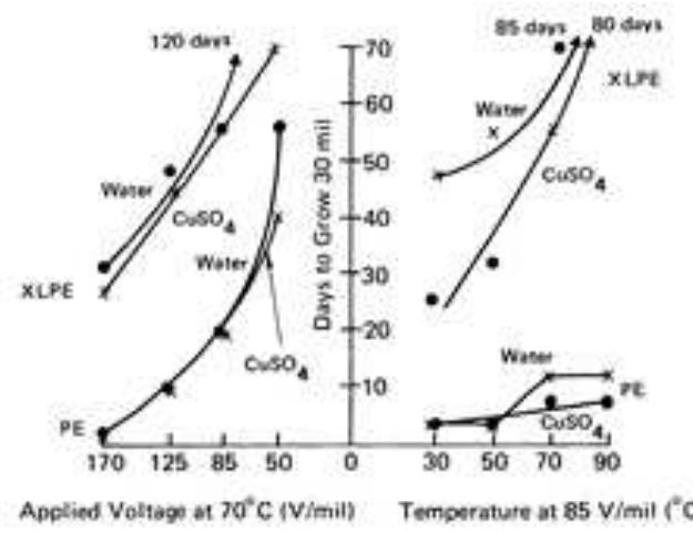 (PDF) Review of Water Treeing in Polymeric Insulated Cables