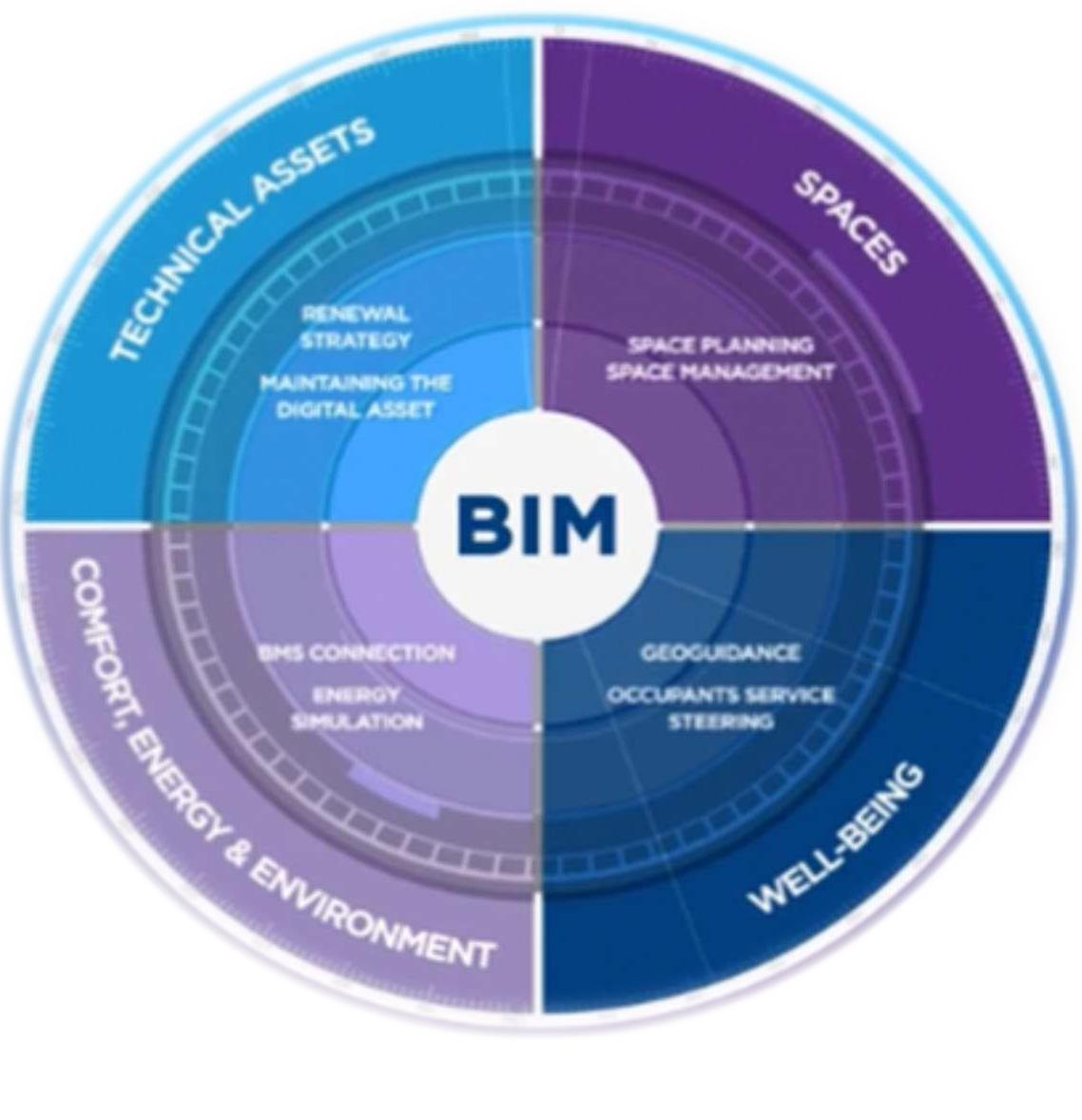 (PDF) BIM for Construction Project Lifecycle