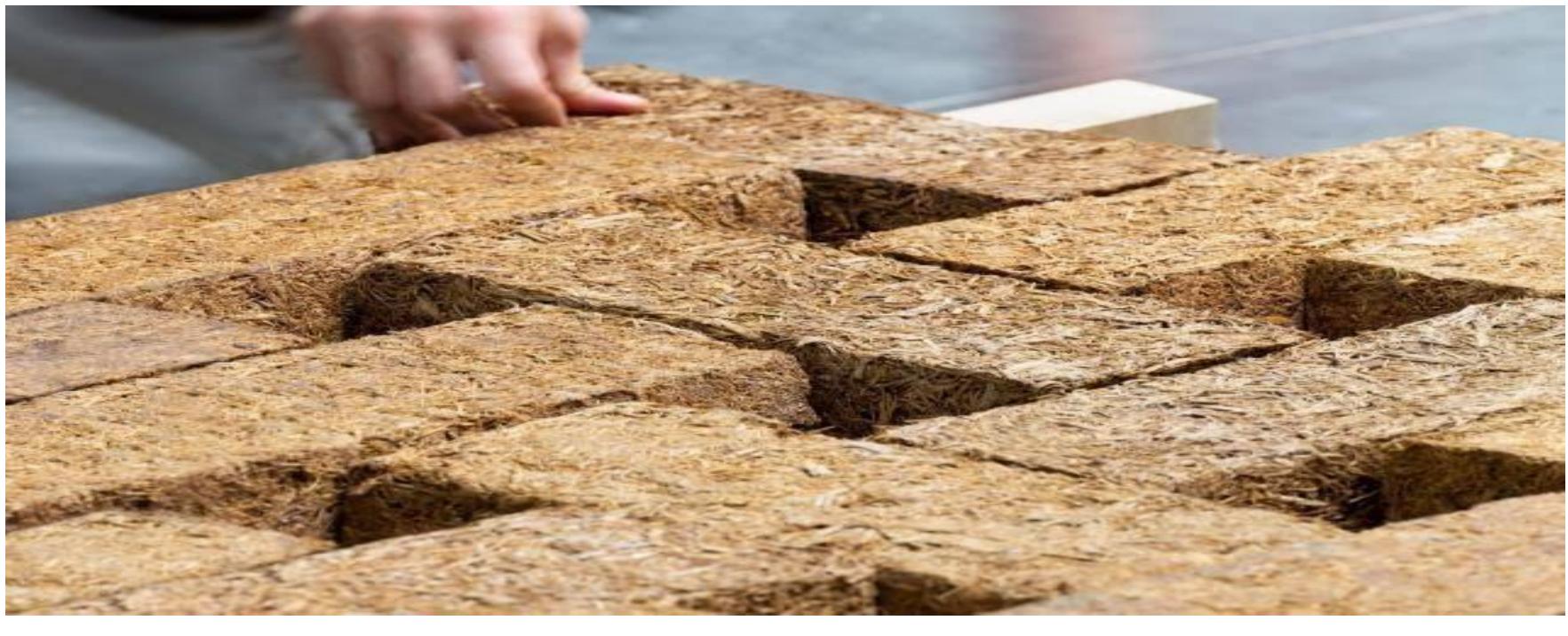 (PDF) Biodegradable Building Materials