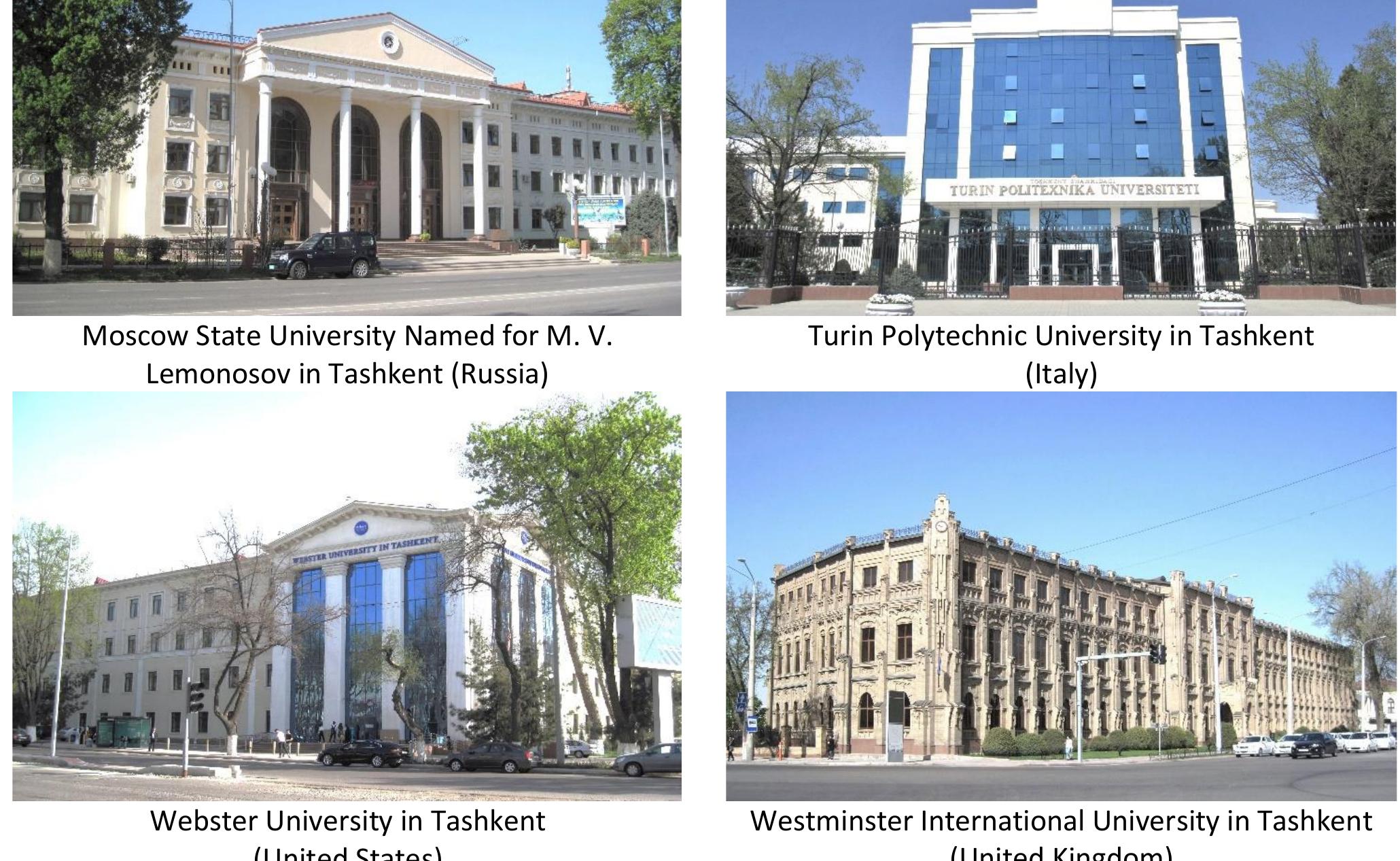 This research complied with the ‘Ethical Guidelines for Educational Research’ of the British Educational Research Association, which recognises participant’s rights to confidentiality and anonymity (BERA, 2018, p. 21). Hence, when presenting interview quotes in our Findings section, these only indicate the individual’s position or job category. 