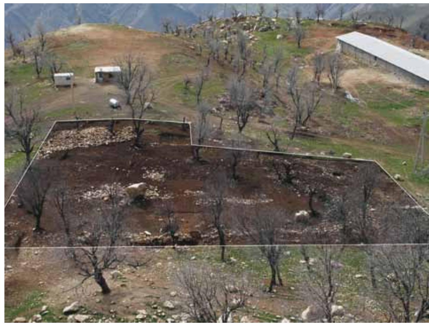Fig. 3. View from the north after the 5 excavation season.  In different parts of the site, large quantities of stones in regular patterns were encountered just below the surface soil (Fig. 2, 3 and 4). Most of the bronze artifacts were found under or between these stones. It reminds one  of another site in Luristan, Surkh Dum-i Luri, where the Holmes Expedi-  tion also found some stone architecture: a sanctuary surrounded with buildings from the Late Bronze and Iron Age (Overlaet 2003: 34-37). Hoards of artifacts, discovered underneath the floors and in the walls of the  shrine, are explained as votive offerings (Overlaet, in press). 