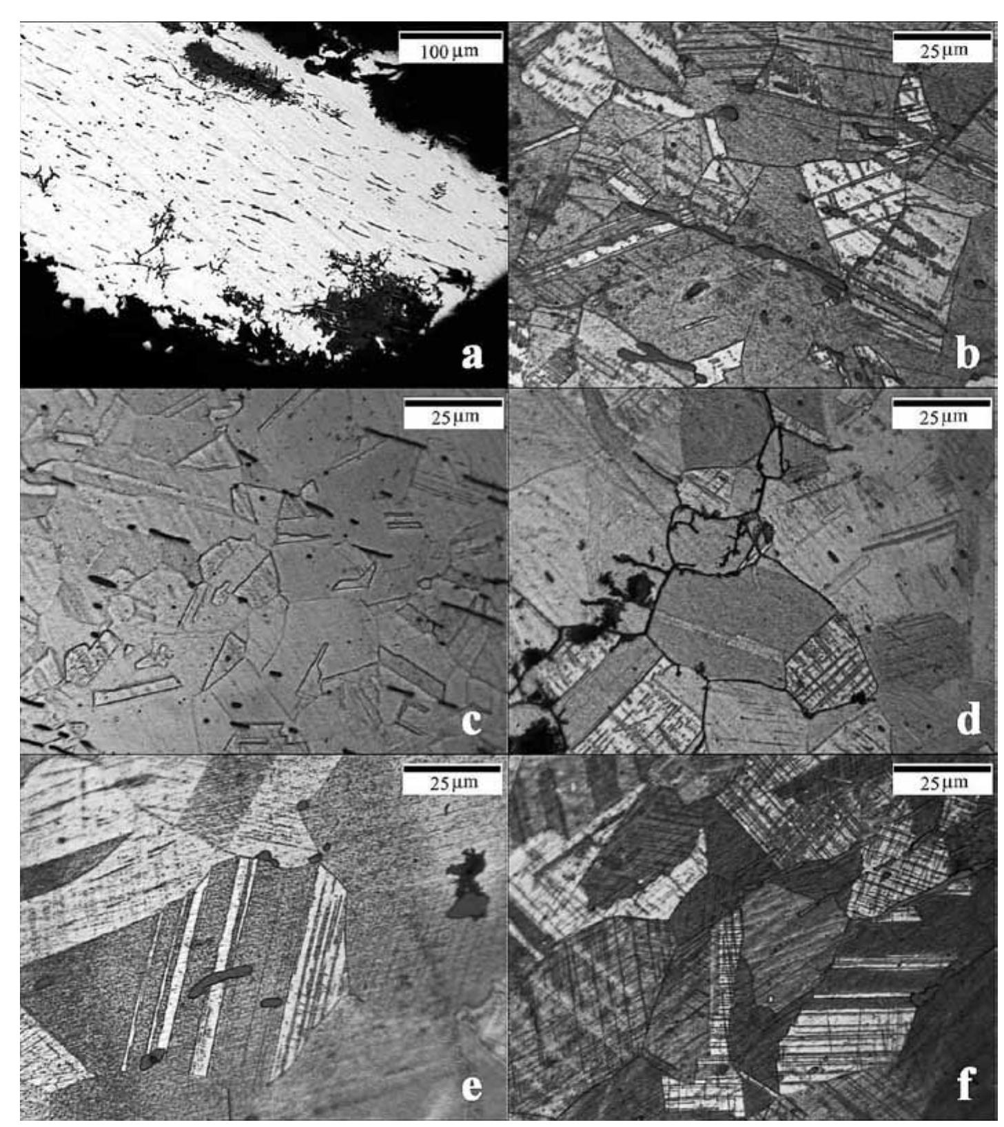 Figure 7. OM Micrograph of six samples. a) Sample ST.08/02, the extended inclusions are visible in the unetched matrix. b) Sample ST.01/01, recrystallized and twinned grains of a phase.  Note the elongated inclusions and slip lines in some grains.  c) Sample ST.02/01, as ST.01/01 but without slip lines. d) Sample ST.03/02, recrystallized and twinned grains with slip lines and inclusions The intergranular corrosion is visible along the boundary of some grains. e) Sample ST.04/01, twin and slip lines in recrystallized grains. Some inclusions are visible in the centre of the image. f) Sample ST.06/01, as d and e. The microstructures of the samples share many similarities.  