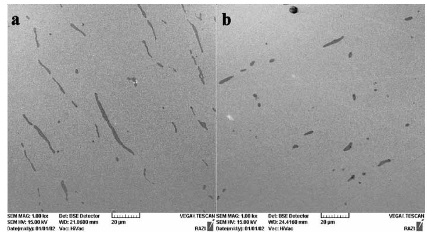 Fig. 8. SEM-BSE micrograph of samples. The microstructure includes two separate phases: an a phase matrix as well as some elongated inclusions scattered in the matrix. a) Sample ST.05/01, b) Sample ST.04/01. 