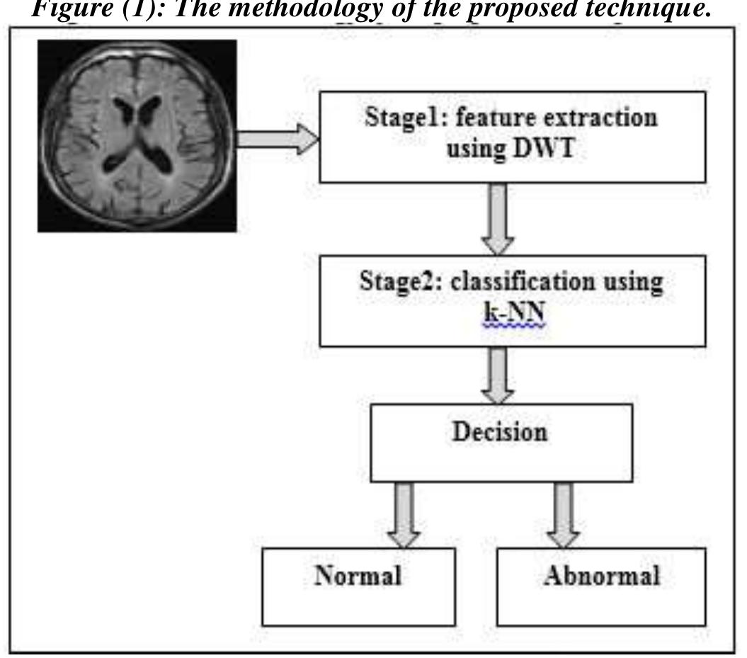 (PDF) CLASSIFICATION OF MRI BRAIN IMAGES USING DISCRETE WAVELET ...