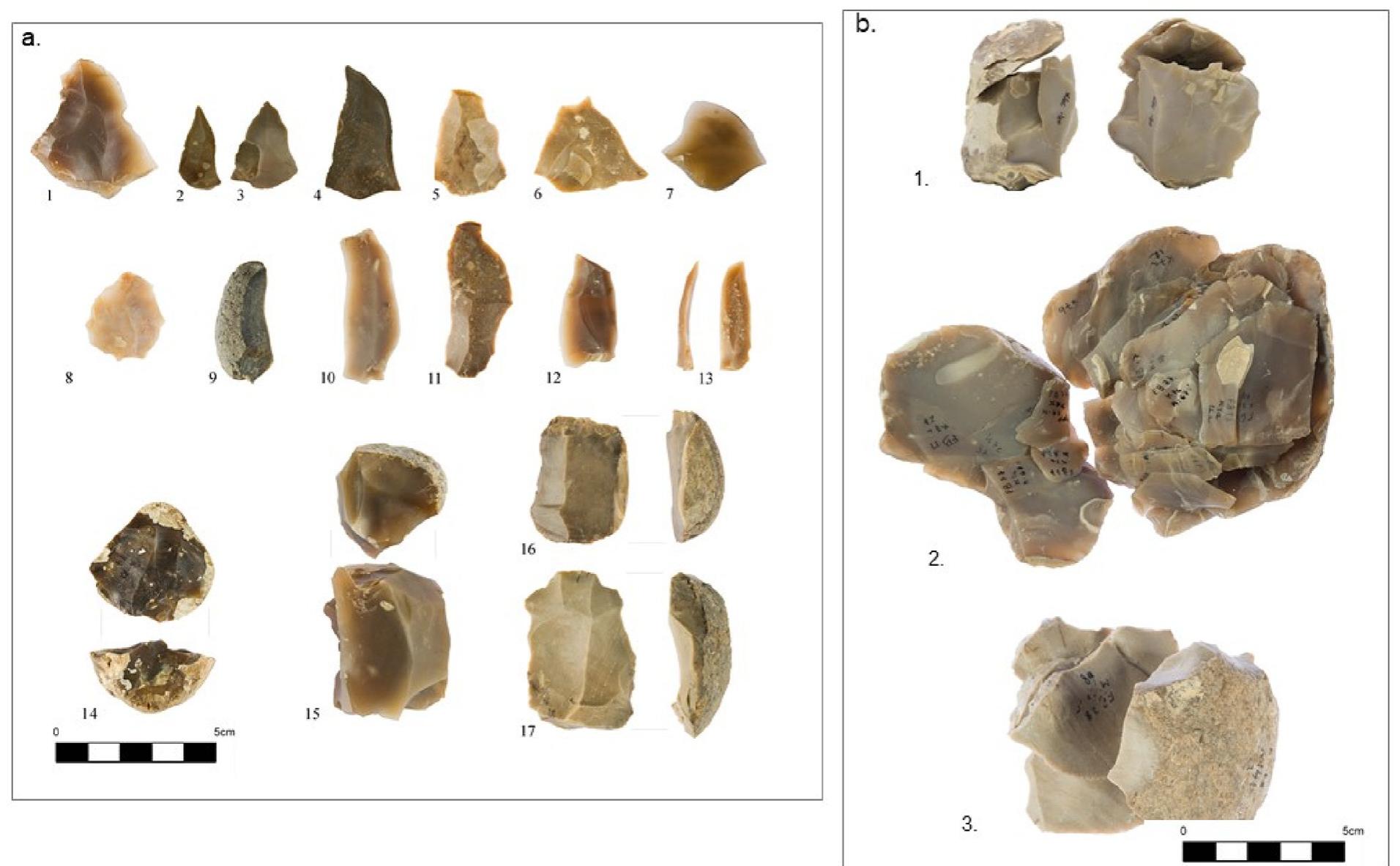Fig. 7. Lithic artifacts from Far’ah II. (a) Artifacts from the 2017 excavation season, (b) Refitted cores from 1976 to 78 excavations, 1 and 2 were refitted by M.G-G and 3 was refittec by P. Fabian, Photos by E. Ostrovski. 