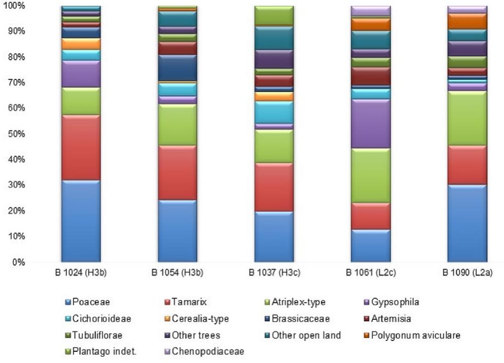 Fig. 9. Main pollen types identified. Species distribution by samples from the archaeological layer. The location of each sample appears in parenthesis, beside the sample number. The full range of pollen identified appears in Figure S1:4. 