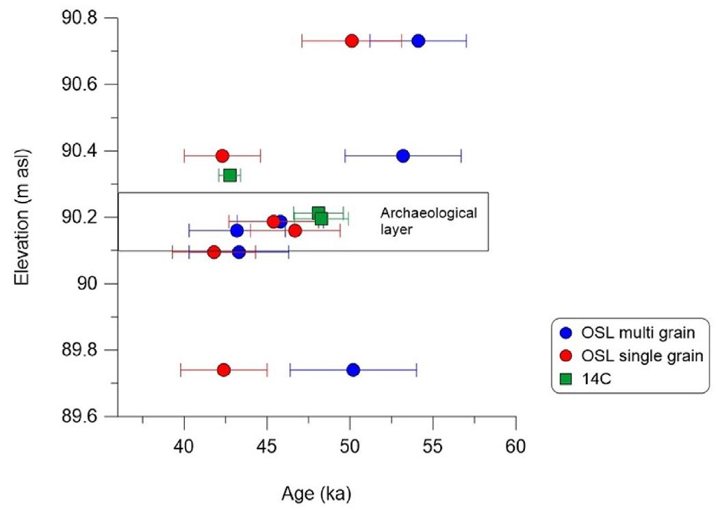 Fig. 12. OSL ages and calibrated BP '4C dates.  The composition of the oxygen stable isotopes provides an  in good agreement with the early uptake ESR ages of mammal teetl from the site, averaging 49 + 4 ka (Schwarcz and Rink, 2002). The composition of the oxvgen stable isotones provides an 