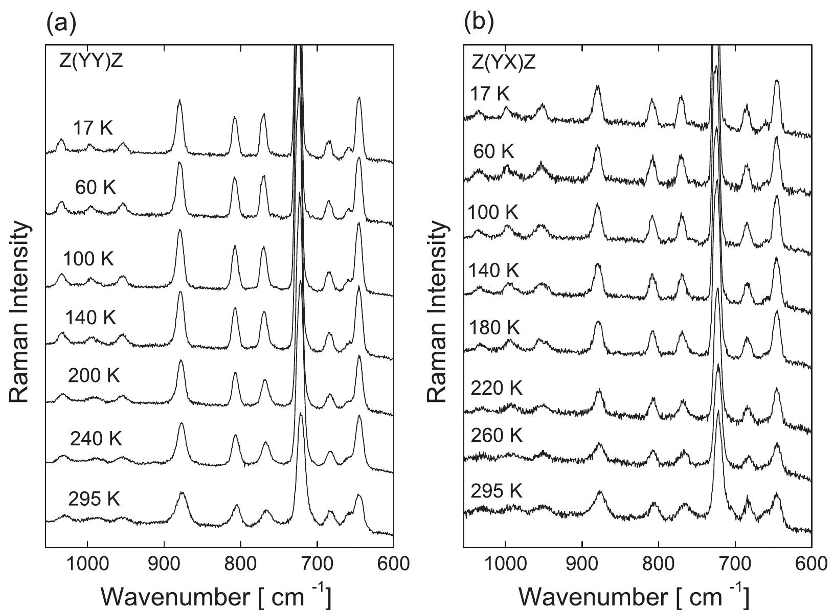 Low temperature raman spectra of l-methionine crystal in the
