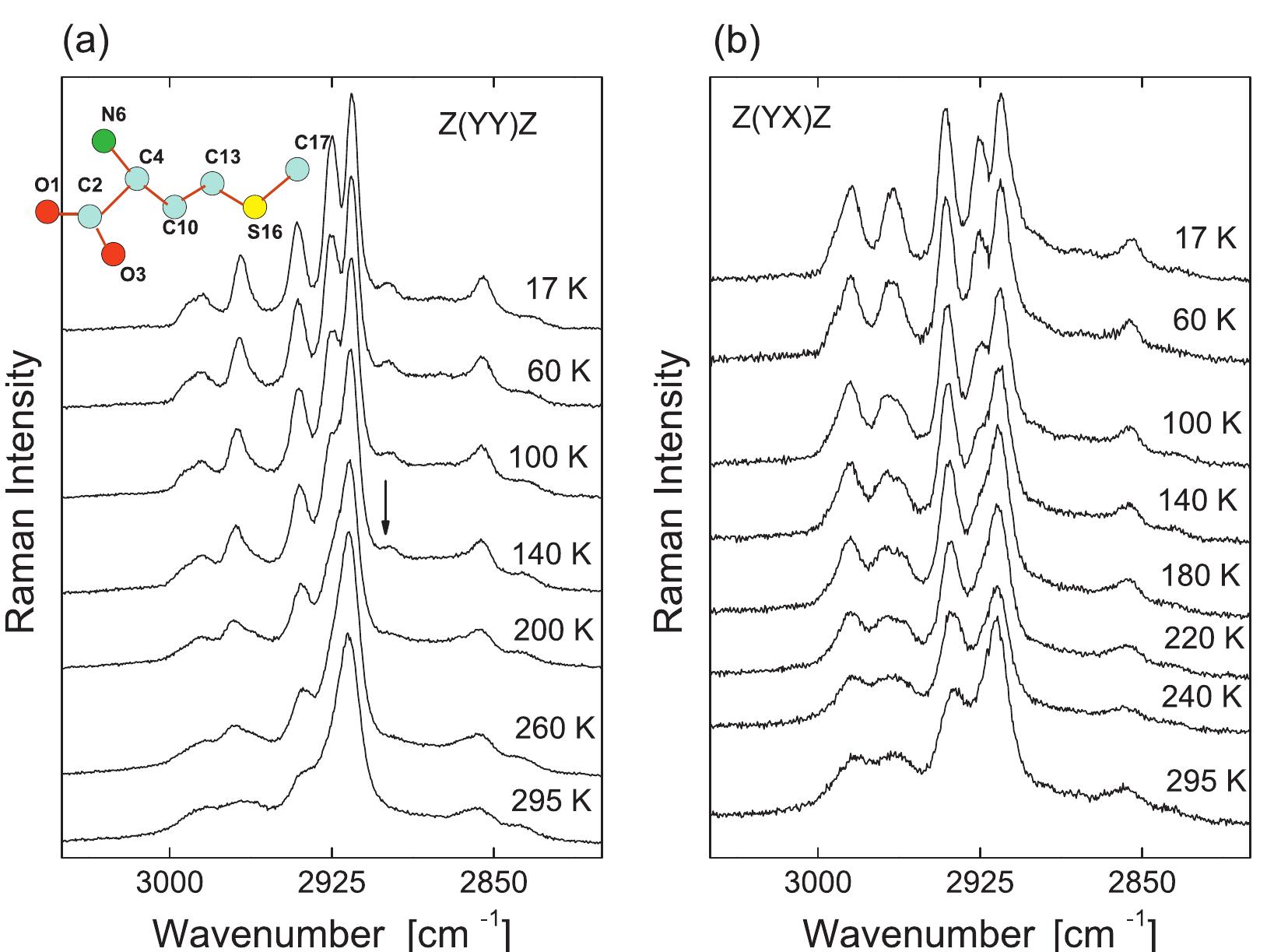 Low temperature raman spectra of l-methionine crystal in the