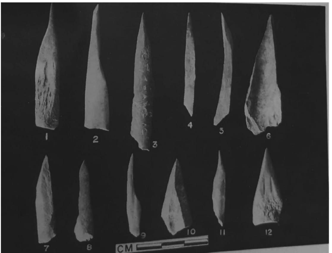 (PDF) An Overview of the Neolithic-Megalithic Culture of Gufkral, Kashmir