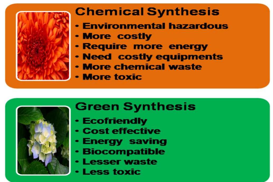 (PDF) A comparative analysis of chemical vs green synthesis of ...