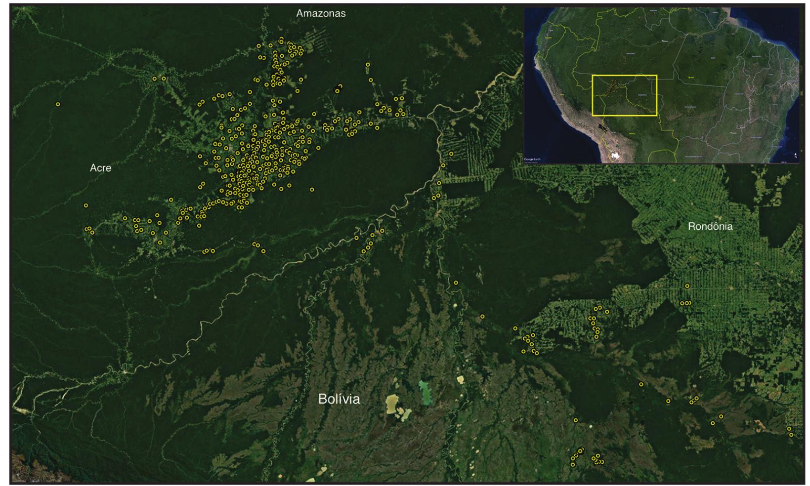 Source: Available at: <https://sites.google.com/view/amazonarch; Google Earth images>. 