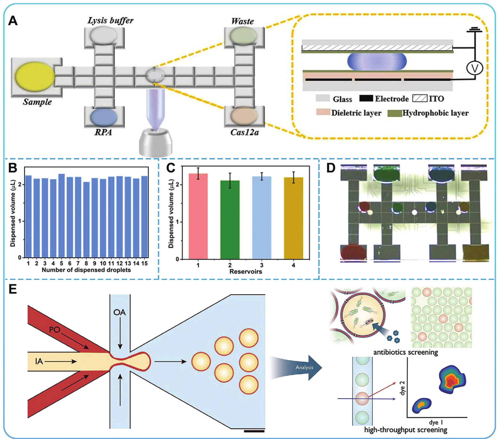 (PDF) Biosensor-Based Microfluidic Platforms for Rapid Clinical ...