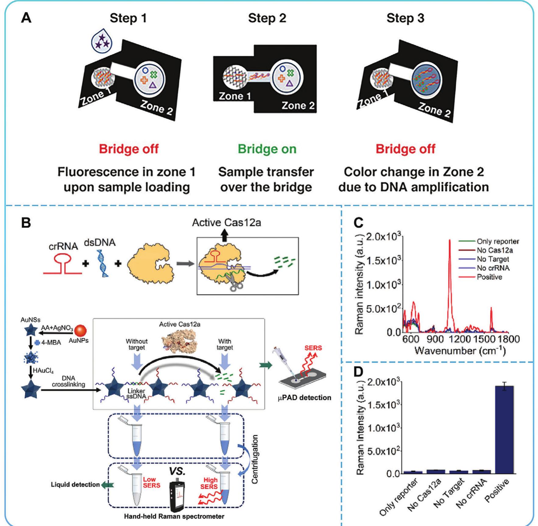 (PDF) Biosensor-Based Microfluidic Platforms for Rapid Clinical ...