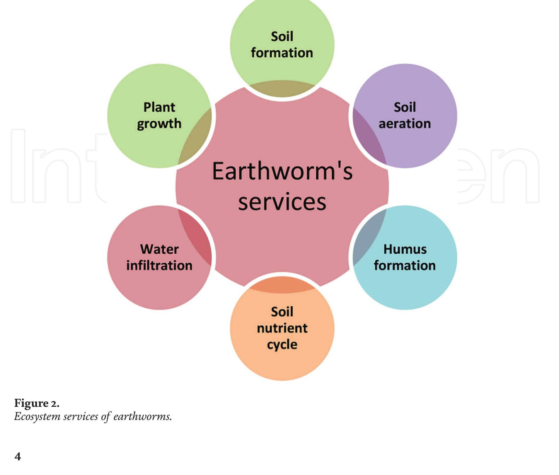 Ecosystem Engineers Examples (PDF) The Earthworms: Charles Darwin’s Ecosystem Engineer
