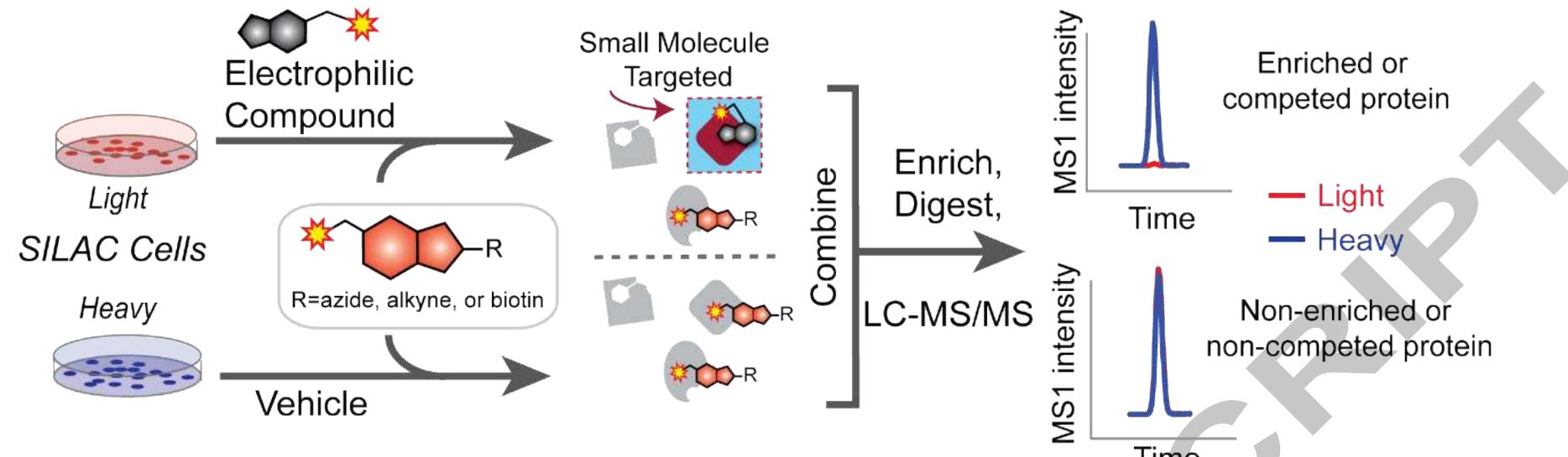 Fig. 2. Chemoproteomic identification of proteins that contain targetable cysteines*using custom probes, which incorporate an electrophile (star), binding group, and enrichment tag R (biotin, alkyne, or azide). In competition experiments, isotopically differentiated cells (SILAC) are labeled with electrophilic compounds or vehicle, followed by labeling with the azide-, alkyne- or biotin-containing capture probe. The samples are then combined pairwise, enriched, digested, and subjected to LC-MS/MS analysis. For probe/probe experiments, light and heavy samples are treated with two different enrichment probes, followed by analysis as with competition experiments. 