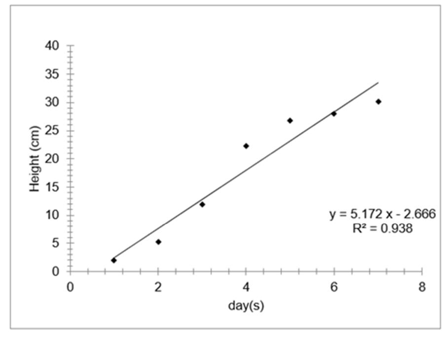 (PDF) Understanding growth patterns of mung beans (Vigna radiata ...