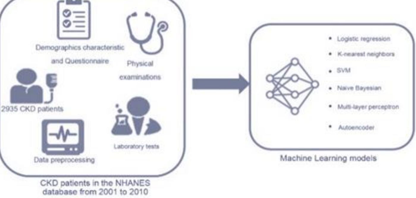 (PDF) LLM Machine Learning for Predicting Cardiovascular Mortality in ...