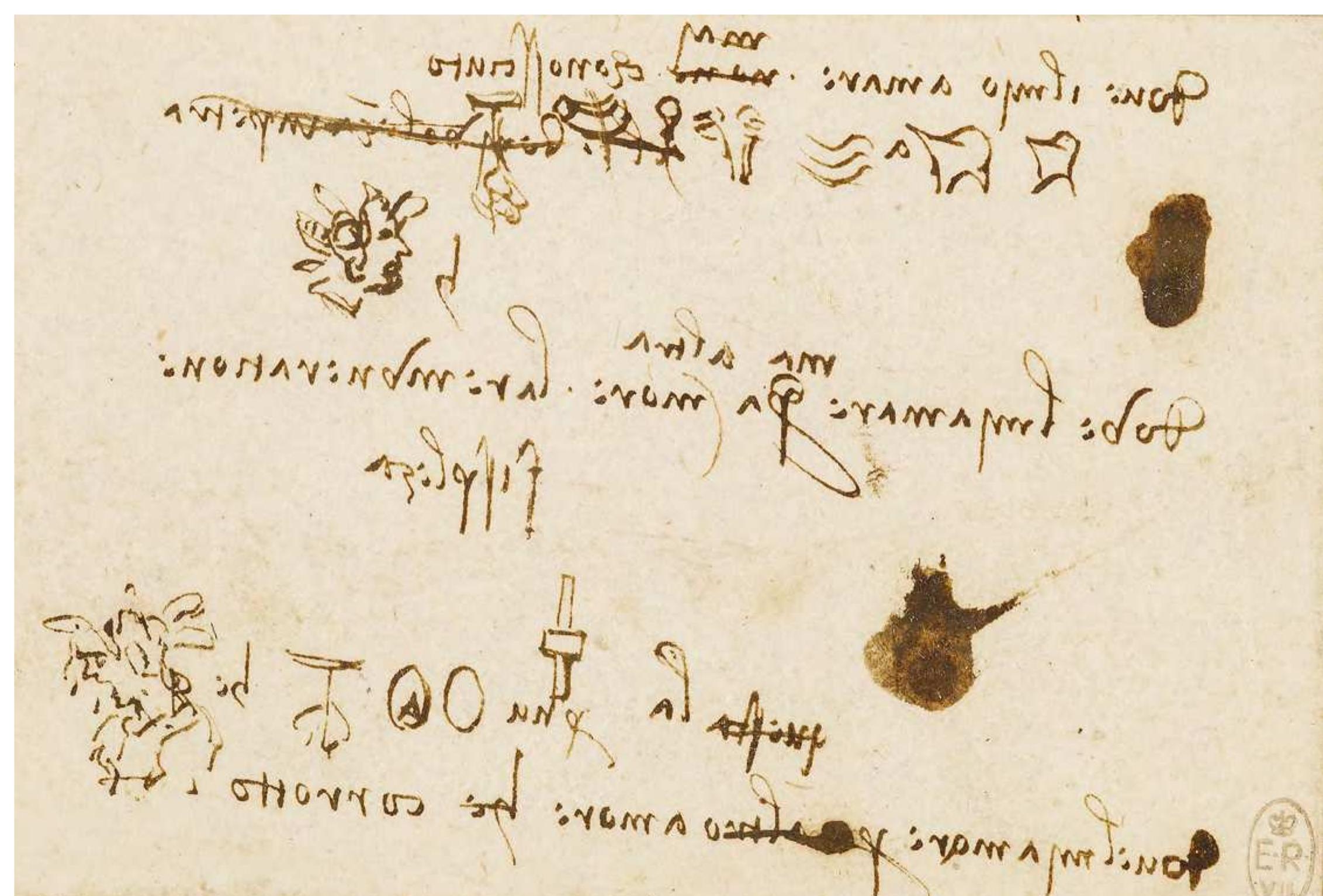 Figure 9 - from Leonardo’s Bestiary as a Reading Key for
