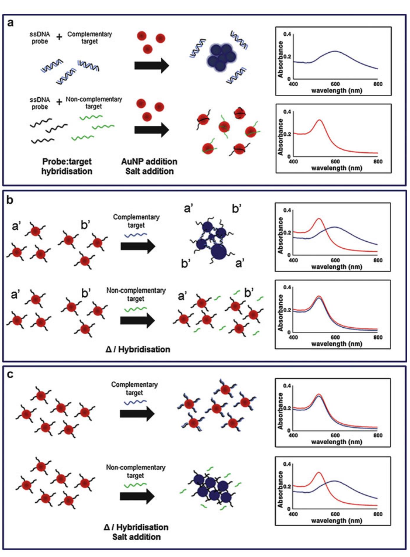 Figure 2 - Gold Nanoparticles for DNA/RNA-Based Diagnostics