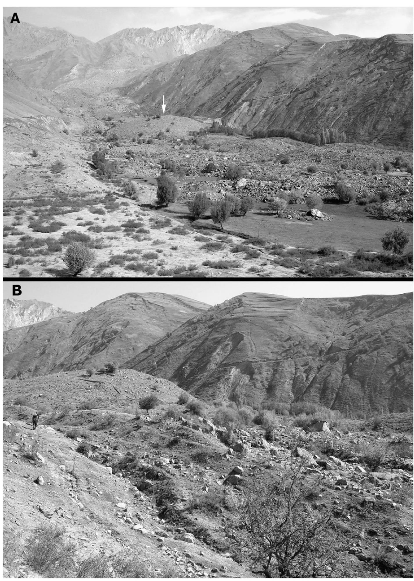 Surface morphology of the mid-part of the loess-rich flow