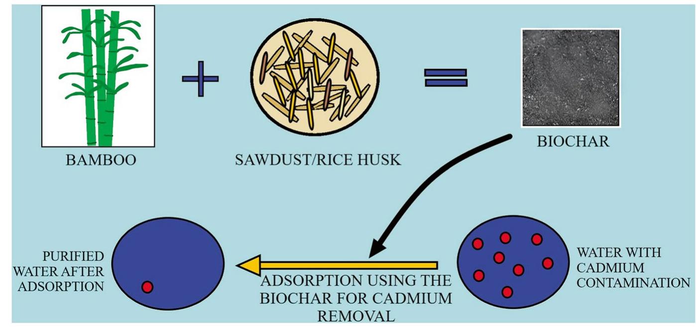 PDF) Cadmium Toxicity