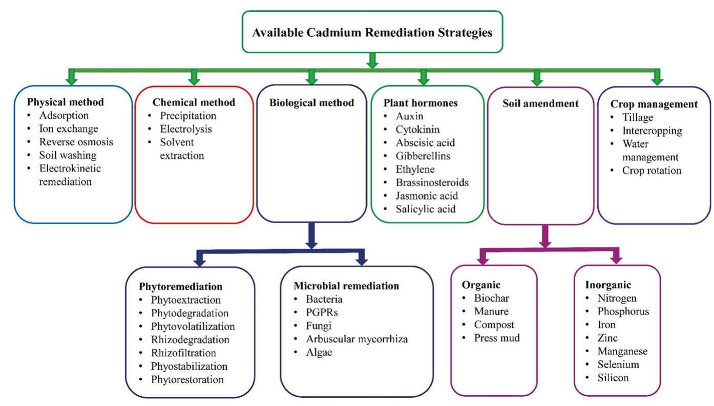PDF) Cadmium Toxicity