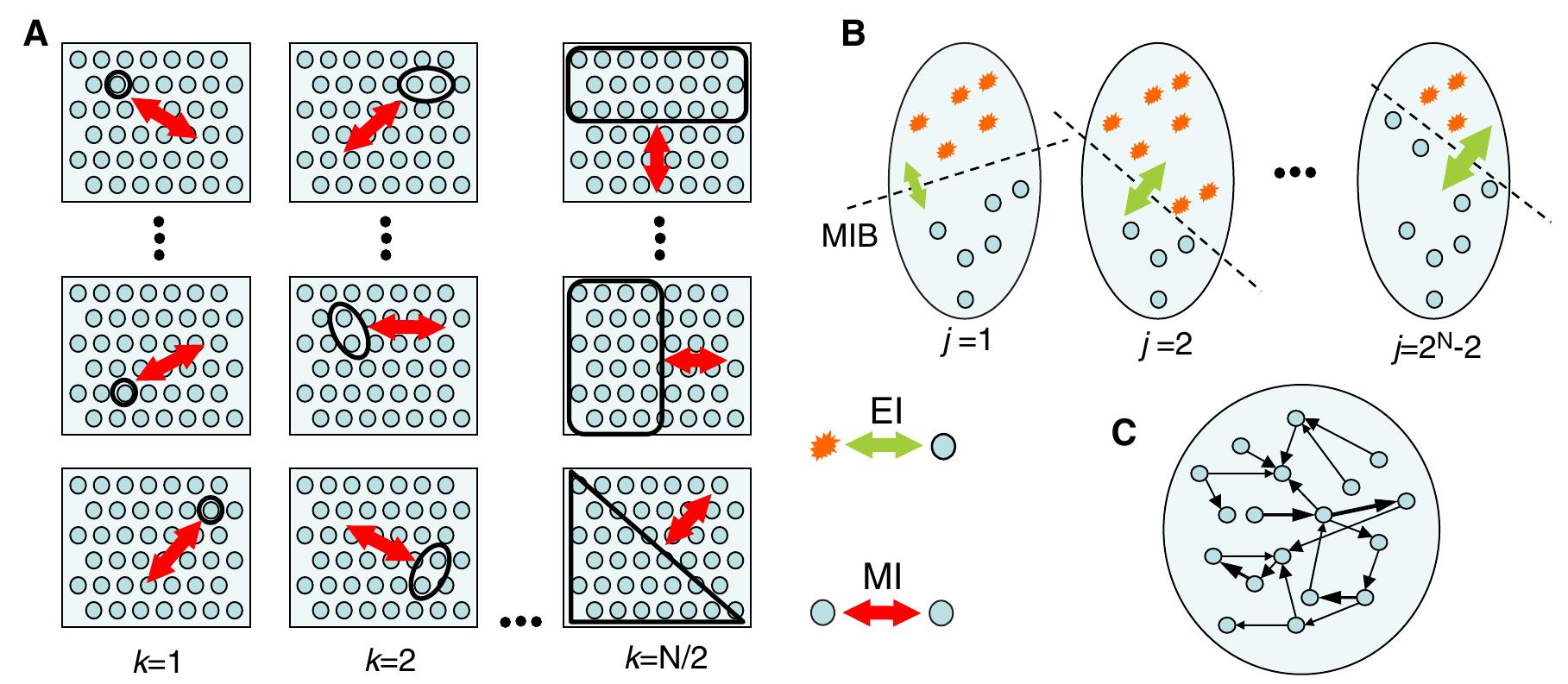 Fig. 1 Measuring complexity for a neural system X composed of N elements. a. Neural complexity (Cy) is calculated as the sum of the average mutual information (MI) over N/2 sets of bipartitions indexed by k (e.g. for k = | an average MI is calculated over N bipartitions). b. Information integration (®) is calculated as the effective informa- tion across the ‘minimum information bipartition’ (MIB). To calculate effective information for a given bipartition (indexed by  j), one subset is injected with maximally entropic activity (stars) and MI across the partition is measured. c. Causal density is calculated as the fraction of interactions that are causally significant according to Granger causality. A weighted (and unbounded) version of causal density can be calculated as the summed magnitudes of all significant causal interactions (depicted by arrow width). Reprinted with permission from [83] (Refer online version for colour figure)  Several candidate descriptions have been proposed that characterize quantitatively the co-existence of integration and differentiation in multiple simultaneously recorded time series. These include ‘neural complexity’ [97], ‘information integration’ [93] and ‘causal density’ [76, 77]. Detailed theoretical comparisons of these measures can be found in [82, 83]; here I describe only their basic properties and differences (Fig. 1). 