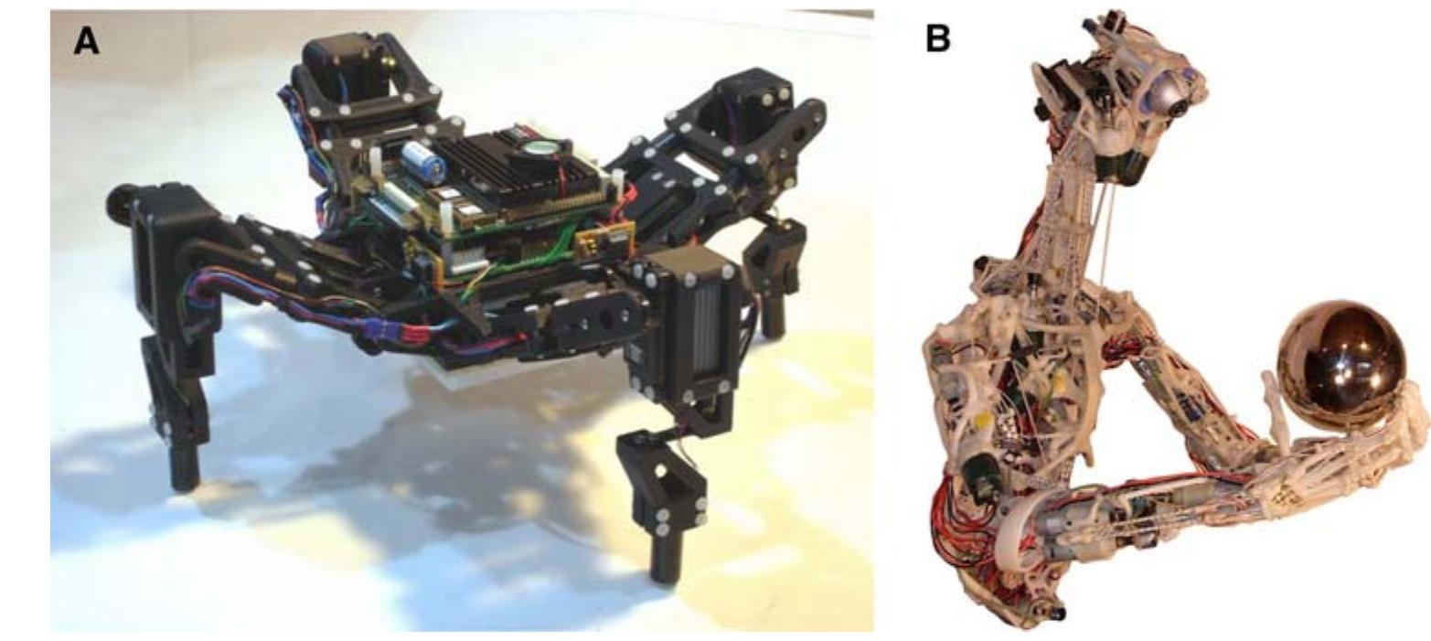 Current challenges for consciousness science involve building on the above work in a number of ways. Explicit self-model development such as that described by Bongard et al. [7] needs to be cashed out in terms of neural mech- anisms rather than at the level of genetic algorithms and physics-engines. This would generate predictions about the underlying neurophysiology and could connect with the extensive body of work dealing with forward and inverse modelling for motor control in neuroscience [60, 105].  In the long-term, synthetic models could elaborate the hypothesis that self-models arose in evolution through the need to control increasingly complex body morphologies having progressively more degrees of freedom [20]. This hypothesis is of particular relevance when considering the possibility of consciousness in non-mammalian creatures with large brains and rich morphology such as the octopus [28]. The relation between self-modelling and perspectiv- alness could also be expanded to include other aspects of the concept of the self. In addition to perspectivalness, Metzinger identifies two further target properties: ‘mine- ness’, a non-conceptual sense of ownership of experiences, thoughts, feelings, body parts, etc., and ‘selfhood’ or ‘continuity’, the experience of being a self and of being  