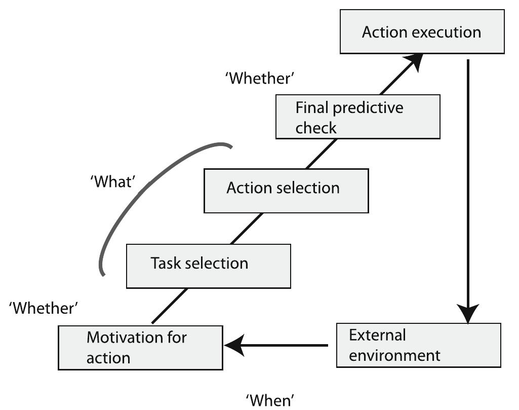 Fig. 4 Haggard’s model of human volition. Volition is interpreted as a set of decisions of increasing specificity. “Whether’ decisions are made both early (motivation dependent) and late (final check), and ‘what’ decisions manage different levels of action specification. The timing of voluntary action (‘when’ decisions) depends on both environmental stimuli and internal motivational states. Adapted from  [39] 