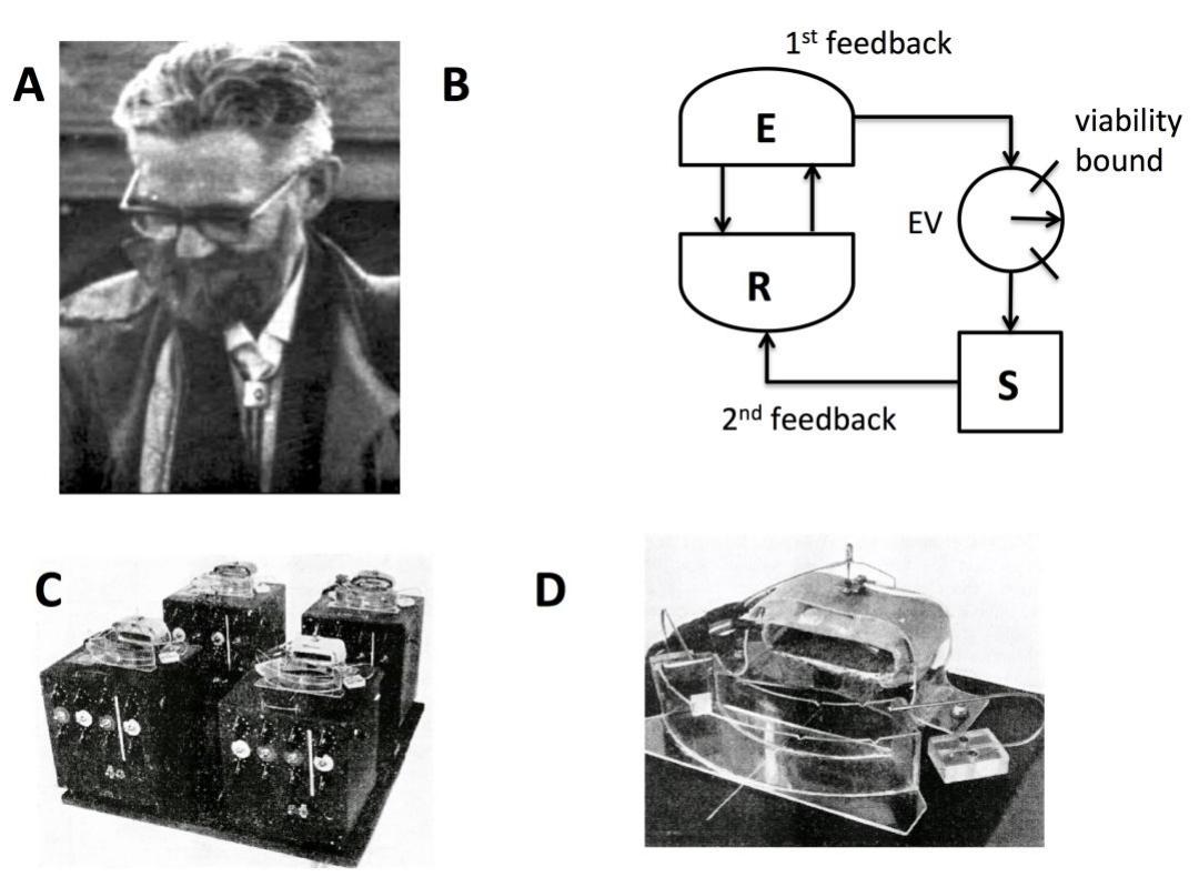 Figure 2: A. W. Ross Ashby, British psychiatrist and pioneer of cybernetics (1903-1972). B. A schematic of ul- trastability, based on Ashby’s notebooks. The system R homeostatically maintains its essential variables (EVs) within viability limits via first-order feedback with the environment EF. When first-order feedback fails, so that EVs run out-of-bounds, second order “ultrastable” feed- back is triggered so that S$ (an internal controller, poten- tially model-based) changes the parameters of R govern- ing the first-order feedback. S continually changes R until homeostatic relations are regained, leaving the EVs again within bounds. C. Ashby’s “homeostat”, consisting of four interconnected ultrastable systems, forming a so- called “multistable” system. D. One ultrastable unit from  the homeostat. Each unit had a trough of water with an electric field gradient and a metal needle. Instability was represented by the non-central needle positions, which on occurring would alter the resistances connecting the units  via discharge through capacitors. For more details see Ashby (1952) and Pickering (2010).  ory power, especially given the convergence of empirical evidence (see Clark 2013 and Hohwy 2013 for reviews) and computational modelling showing how cortical microcircuits might imple- ment approximate Bayesian inference (Bastos et  al. 2012).  Figure 2: A. W. Ross Ashby, British psychiatrist and 