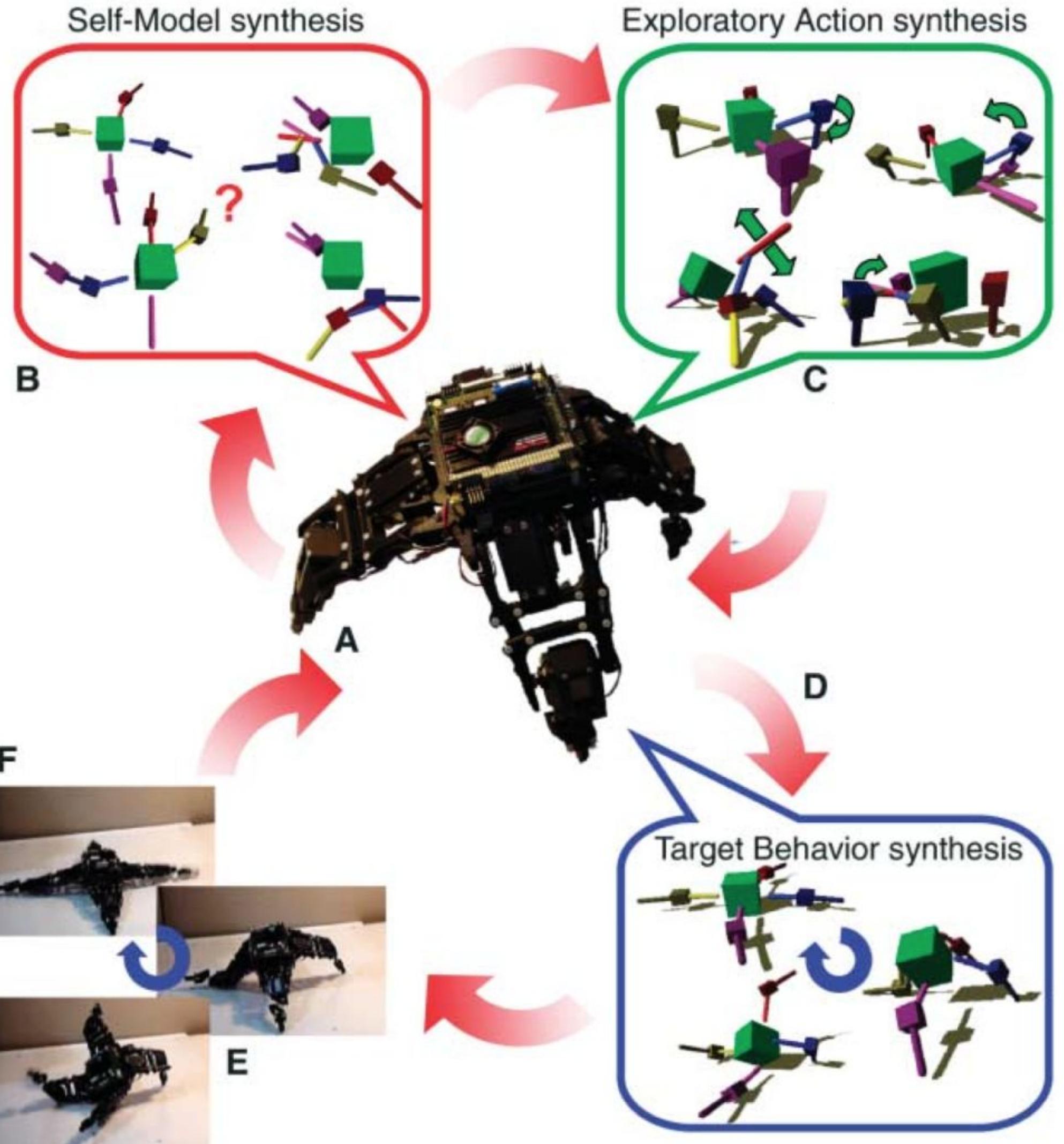 Figure 6: An evolutionary-robotics experiment demonstrating continuous self-modelling Bongard et al. (2006). See text for details. Reproduced with permission. 