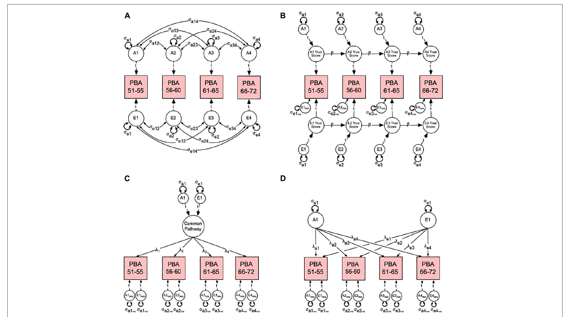 FIGURE 2 | Multivariate correlated factors (A) and competing hypothetical models to explain the sources of variance-covariance between the predicted brain age (PBA) scores. Competing models include (B) the auto-regression, (C) common pathway, and (D) independent pathway models. For brevity, only latent additive genetic (A1—4) and non-shared environmental (E1—4) factors are shown. (A) The multivariate correlated factor model estimates the size of the latent genetic and environmental variances and covariances (double-headed arrows). It is atheoretical and makes no prediction about the nature of change in PBA over time. (B) In the autoregression model, the time-specific genetic (oa4—4) and environmental (o¢4—4) variance components or “innovations” for each genetic (A1—4) and environmental (E1-4) latent factor true score are estimated along with each variable’s residual or error variance (c¢1res—e4res). AlSo estimated are the autoregression or causal coefficients (8) from one latent true score to the next. (C) In the common pathway model, the genetic (oa1) and environmental (ce1) variance components for the common pathway, the factor loadings (X44), and latent genetic and environmental residuals (cg res—a4res; Se1res—e4res) are estimated. (D) Finally, in the independent pathway model, genetic (oa1) and environmental (ce) variance components are estimated independently with their factor loadings (Xa1—4, Xe1—4), and latent genetic and environmental residuals (ca1res—a4res, Se1res—e4res). Se@ Supplement for more detailed modeling description. 