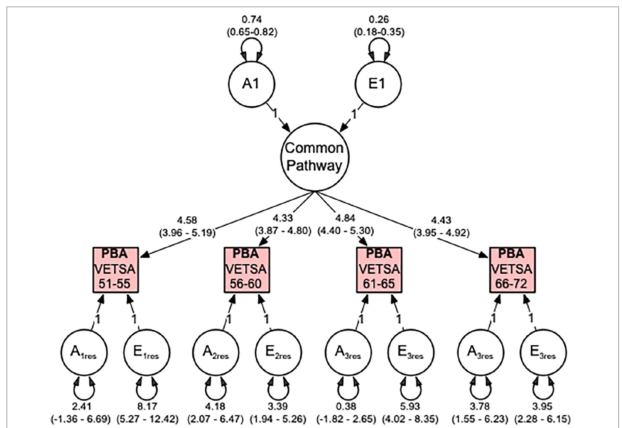 FIGURE 3 | Predicted brain age (PBA) best fitting common pathway (CP) multivariate model comprising additive genetic (A) and non-shared environment (E) variance components. Illustrated are the genetic and environmental variance components for the common pathway, the factor loadings from the CP to the observed PBA phenotypes, and the genetic and environmental residual variance components. All variance components are standardized and include 95% confidence intervals. 