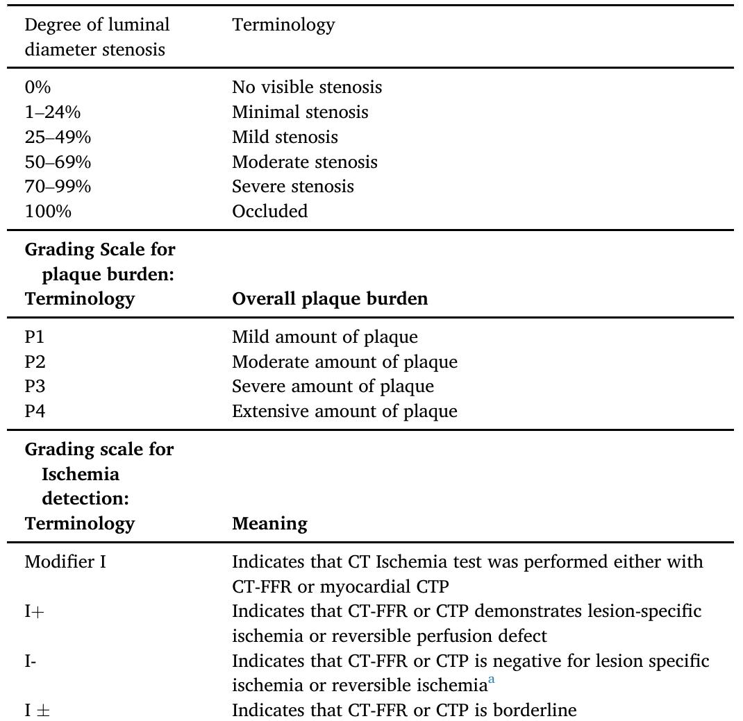 Grading scale for stenosis severity, plaque burden and