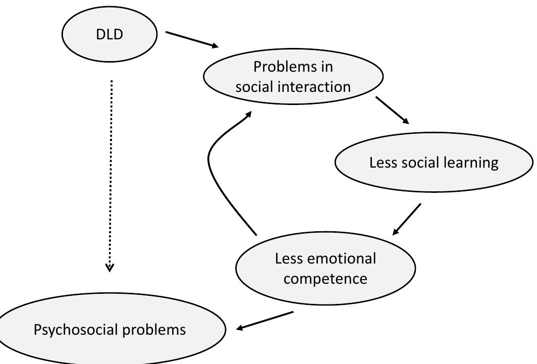 development of psychosocial problems of children with DLD. As is illustrated in Figure 1, language problems of children with DLD might not have a direct effect on the development of psychosocial problems, but interfere with the social interactions of children with DLD instead, which negatively effects children’s social learning opportunities, resulting in less emotional competence. Problems in emotional competence in turn put children at risk for the development of increased psychosocial problems. 
