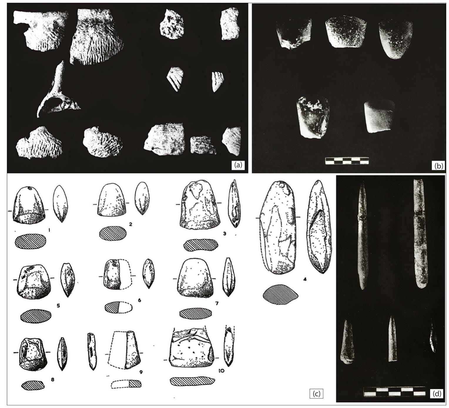 Mahagara (PDF) Vaishnav et al., 2024, Geoarchaeological perspective on ...