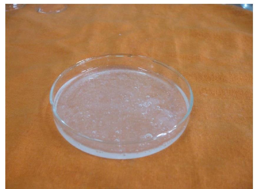 (PDF) Extraction and Characterization of Collagen from Buffalo Skin for ...
