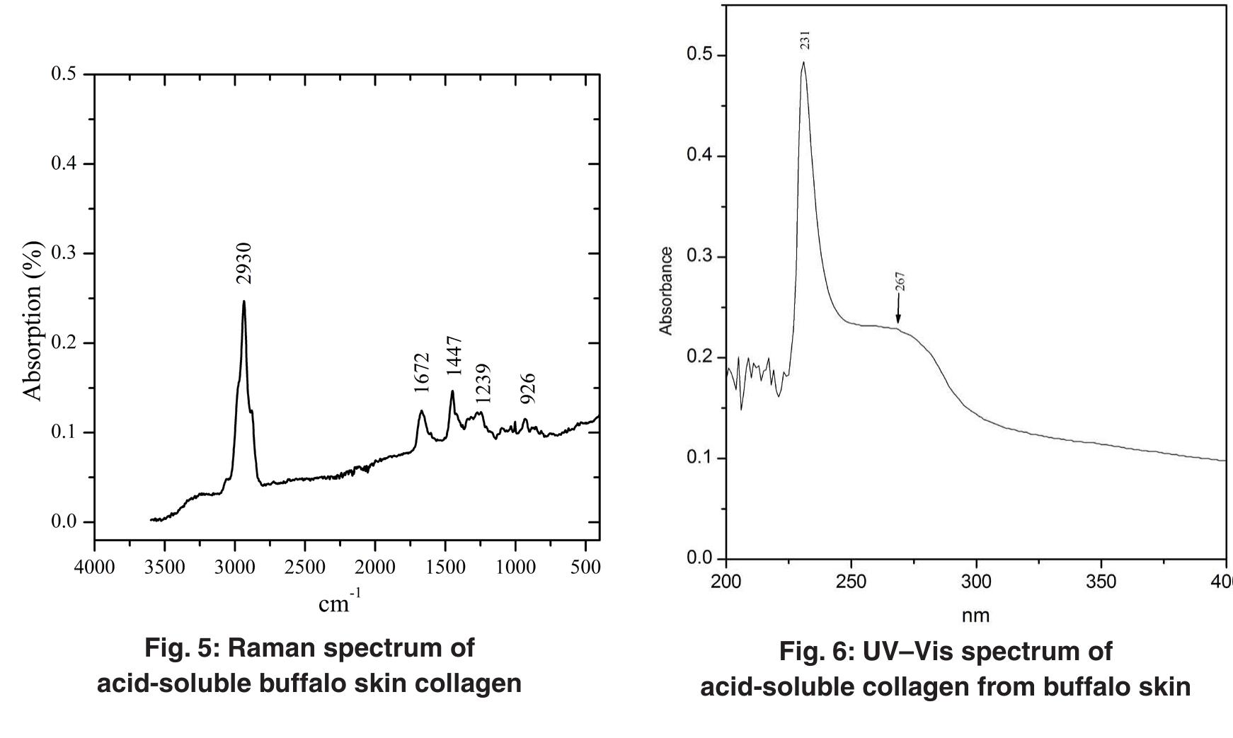 (PDF) Extraction and Characterization of Collagen from Buffalo Skin for ...
