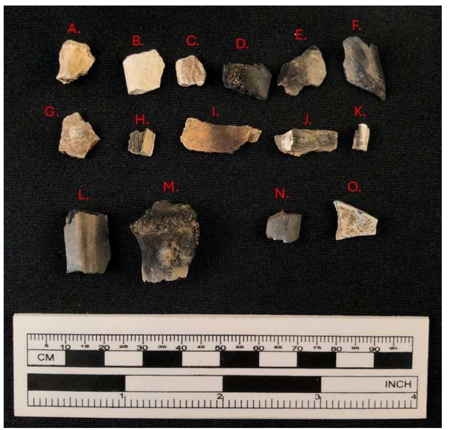 Remains Example Figure 25 - from Sykora - MA Thesis