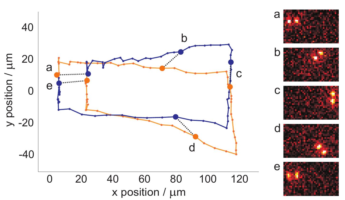 (PDF) Deterministic reordering of40Ca+ions in a linear segmented Paul trap